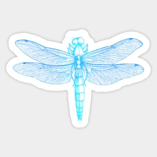 Dramabite Vintage retro dragonfly scientific illustration entomologist Sticker